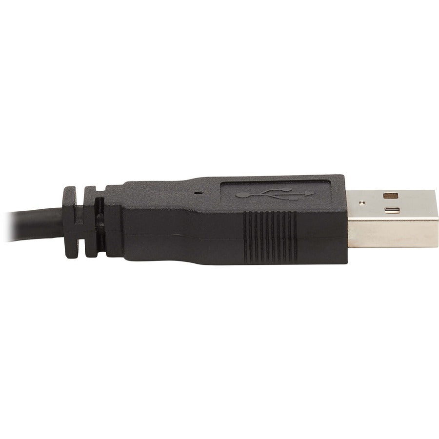 Tripp Lite Dvi Kvm Cable Kit - Dvi, Usb, 3.5 Mm Audio (3Xm/3Xm) + Usb (M/M) + Dvi (M/M), 6 Ft. (1.83 M)
