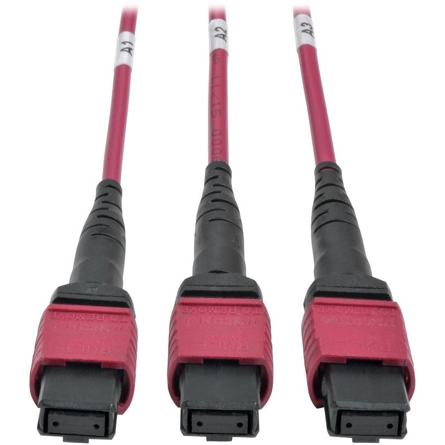 Tripp Lite N48K-15M8L60-B 40/100Gb Fiber Breakout Patch Panel, 40Gb To 4 X 10Gb, 100Gb To 4 X