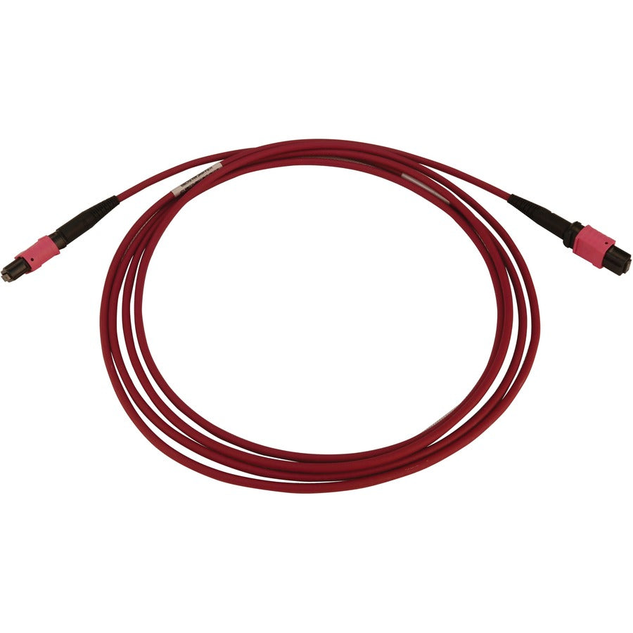 Tripp Lite N845B-05M-12-Mg 100G Multimode 50/125 Om4 Fiber Optic Cable (12F Mtp/Mpo-Pc F/F), Lszh, Magenta, 5 M (16.4 Ft.)