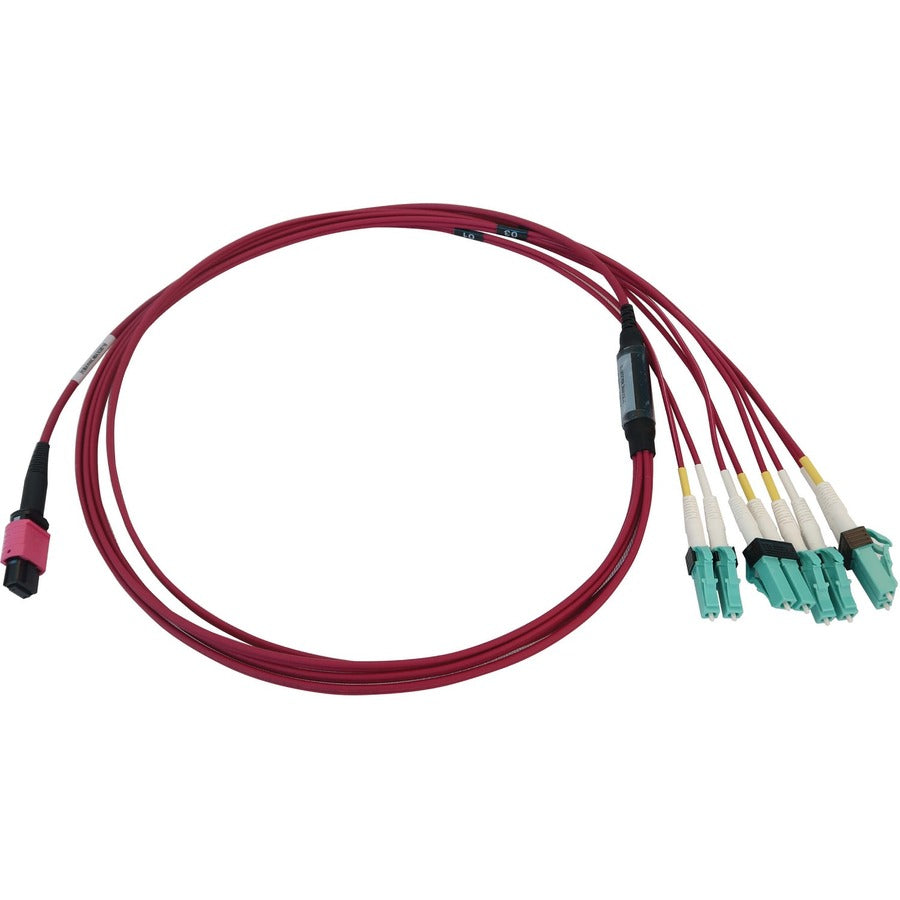 Tripp Lite N845X-01M-8L-Mg 40/100G Multimode 50/125 Om4 Fiber Optic Cable (12F Mtp/Mpo-Pc To 4X Duplex Lc/Pc F/M), Lszh, Magenta, 1 M (3.3 Ft.)