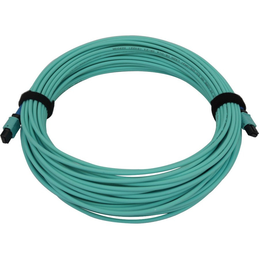 Tripp Lite N846B-20M-24-P 40/100/400G Multimode 50/125 Om3 Fiber Optic Cable (24F Mtp/Mpo-Pc F/F), Lszh, Aqua, 20 M (65.6 Ft.)