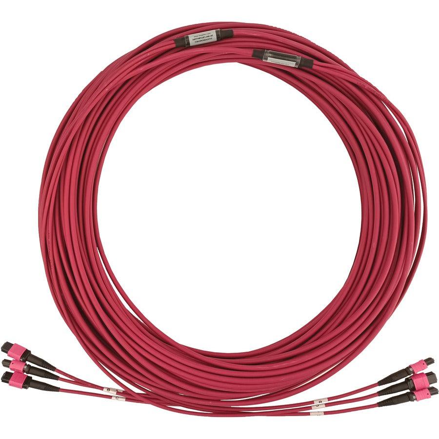 Tripp Lite N858B-23M-3X8Mg 40/100/400G Multimode 50/125 Om4 Fiber Optic Cable (3X8F Mtp/Mpo-Pc F/F), Lszh, Magenta, 23 M (75.5 Ft.)