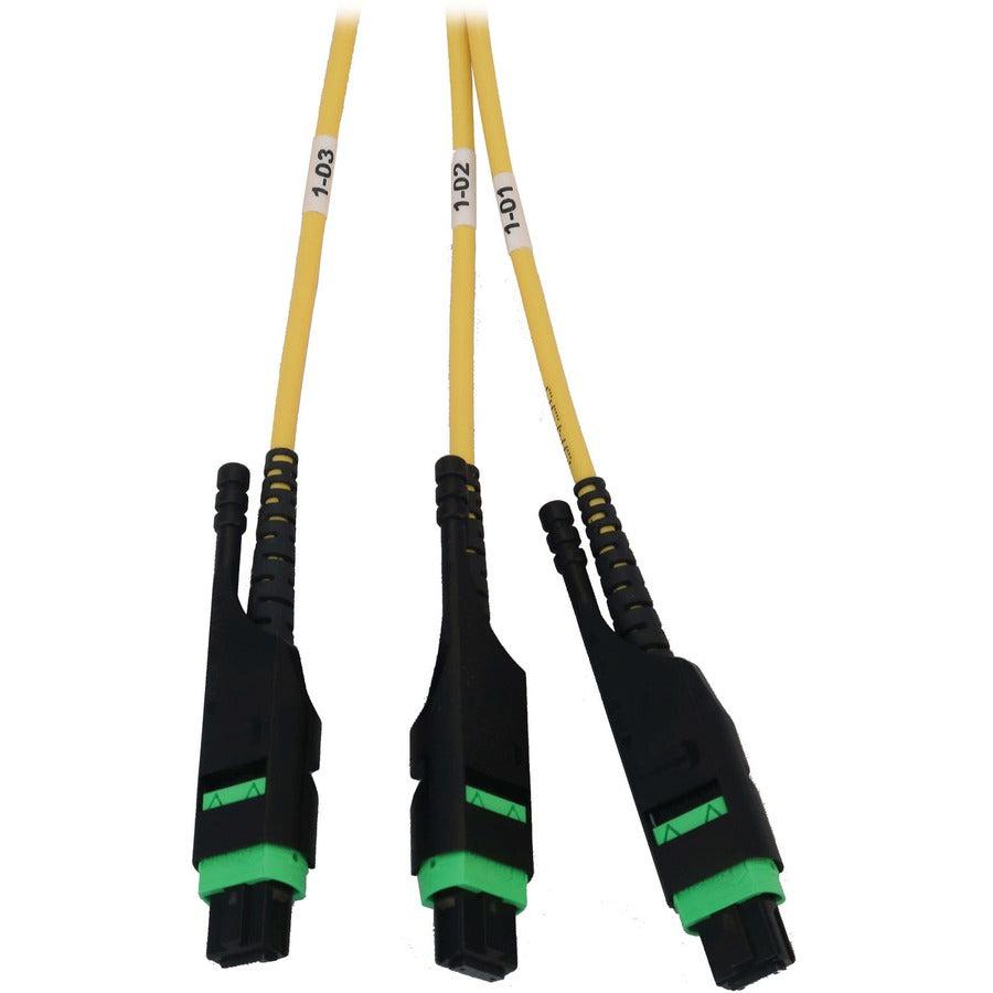Tripp Lite Preloaded Fiber Panel, 1U - 4X (3X8F Mtp/Mpo-Apc F/F) 24F Trunk Cables, Os2 Singlemode, 10 M (32.8 Ft.)