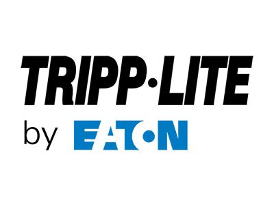 Tripp Lite Unpacking/Assembly for SV or SVX 3-Phase UPS Modular Frame Components (Power Modules/Battery Packs) Only and Commissioning W09-EW1-247-1BX