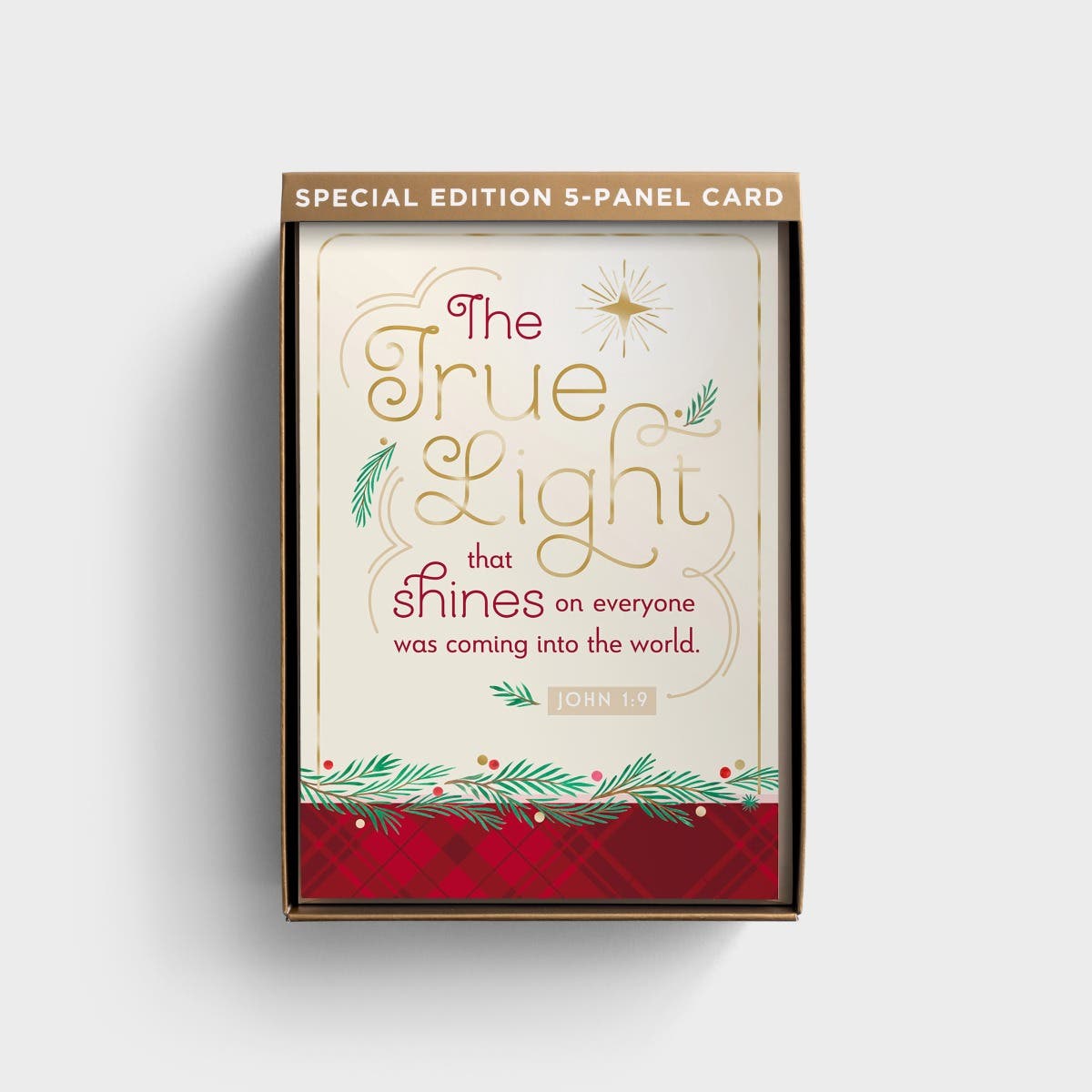 True Light - 18 Christmas Boxed Cards and Envelopes - Special Edition 5-Panel