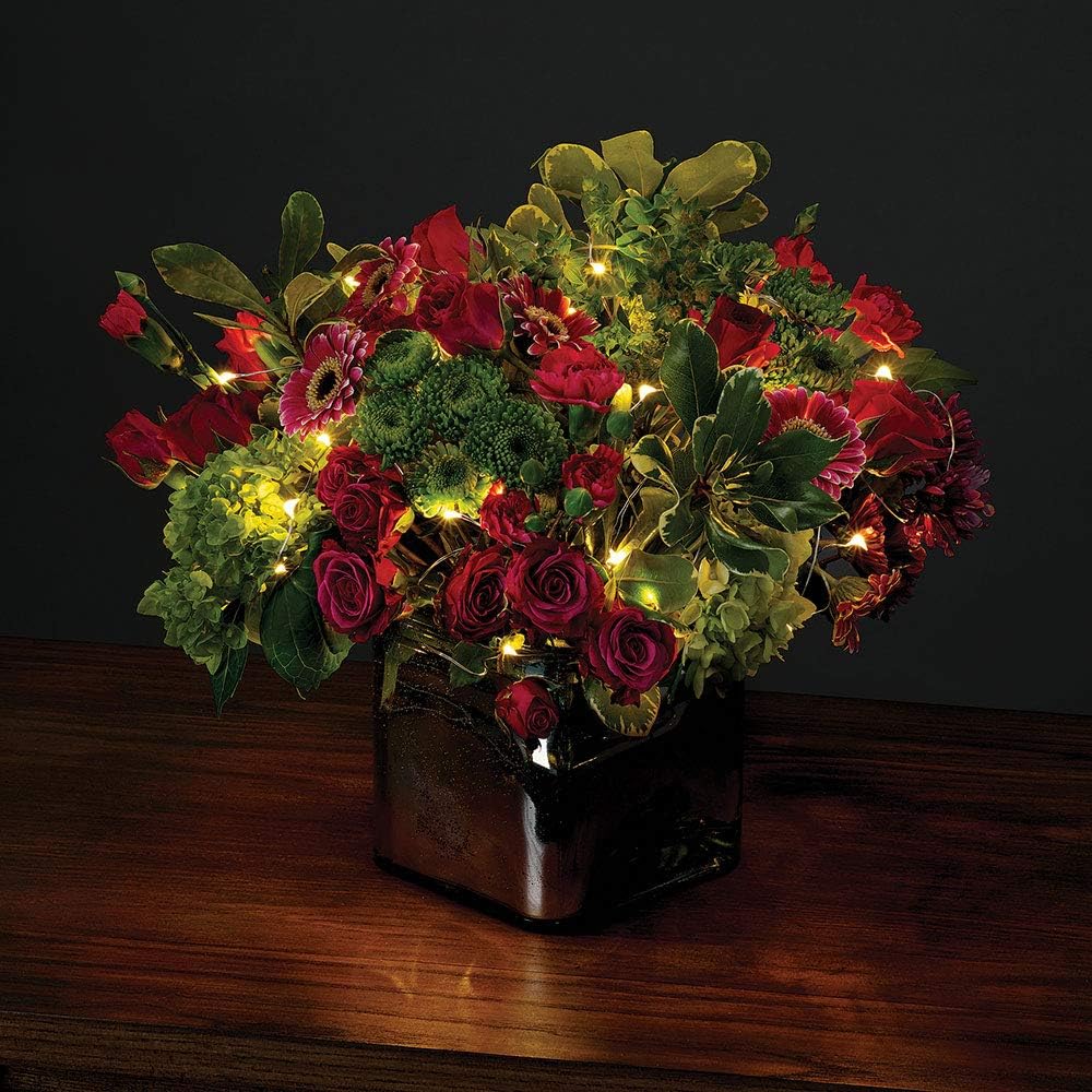 USB 100 LED (32 foot) Multifunction Starry Lights - Warm White