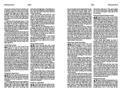 Unique The New Life Bible For Teen Girls