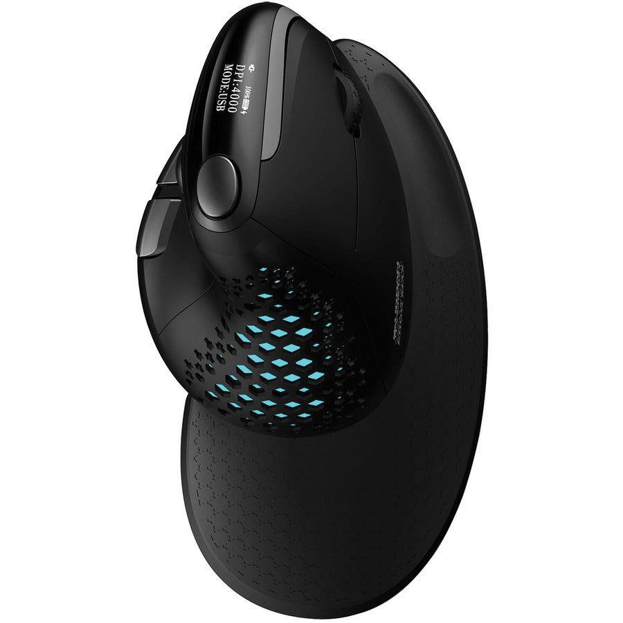 Urban Factory ERGO MAX EPM50UF Mouse - Optical - Cable/Wireless - Bluetooth/Radio