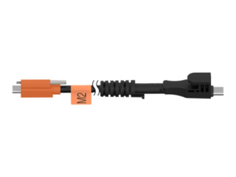 VeriFone Orange Series M2 - USB cable - 24 pin USB-C to 24 pin USB-C - 6.6 ft - orange