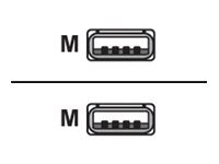 VeriFone - USB cable - USB (M) to USB (M) - 13.4 ft CBL280-025-02-A