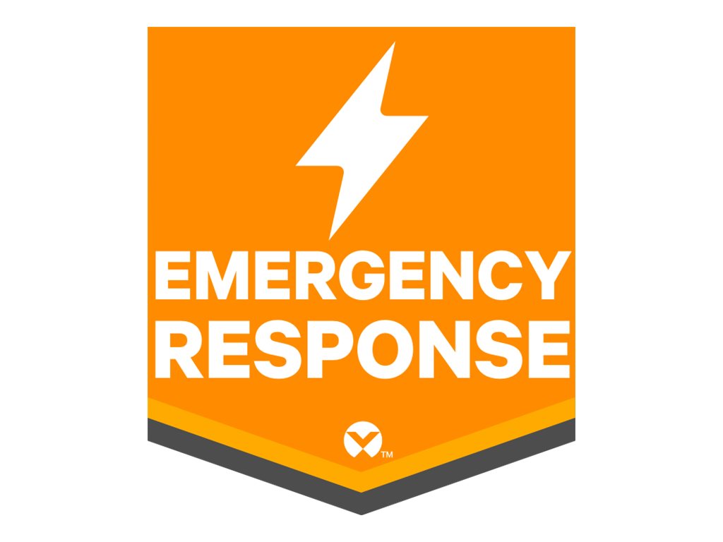 Vertiv Start-Up - Installation / configuration - on-site PAPITA-BATT