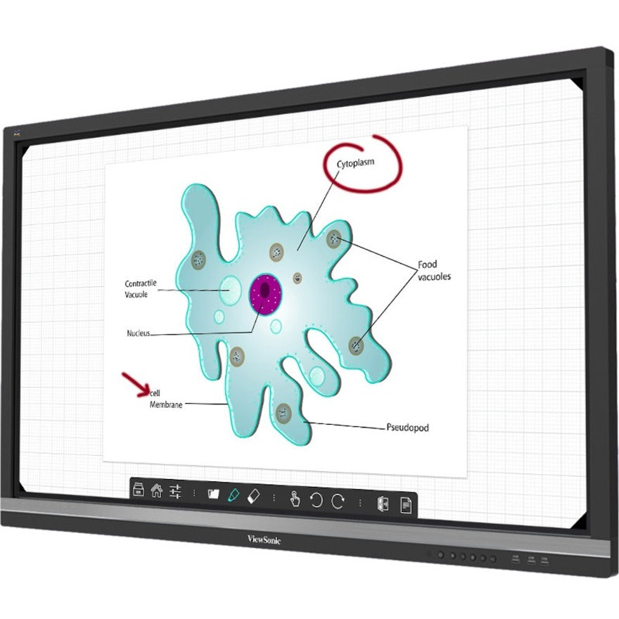 ViewSonic 75" LCD- Infrared (IrDA)- Touchscreen Display IFP7550-C0