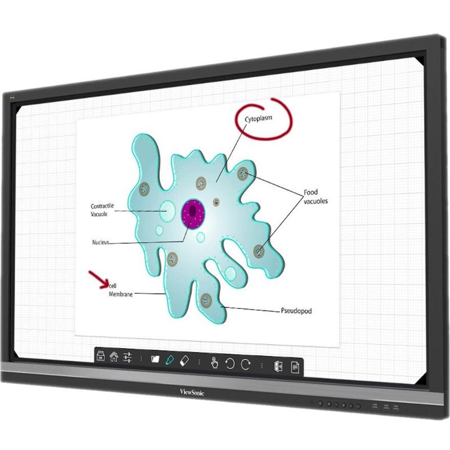 ViewSonic IFP6550-C1 - 65" ViewBoard Interactive Flat Panel Bundle with Chromebox