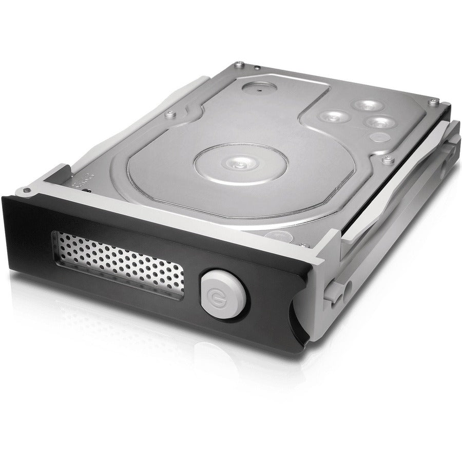WD-IMSourcing G-RAID Removable Thunderbolt 3 20000GB Silver NA 0G05763-1