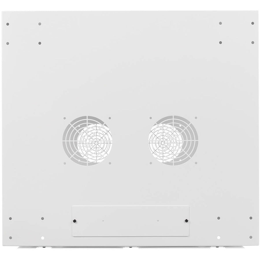 Wall Mount Enclosure 9U Low Profile - Tripp Lite SmartRack SRW9UDPW