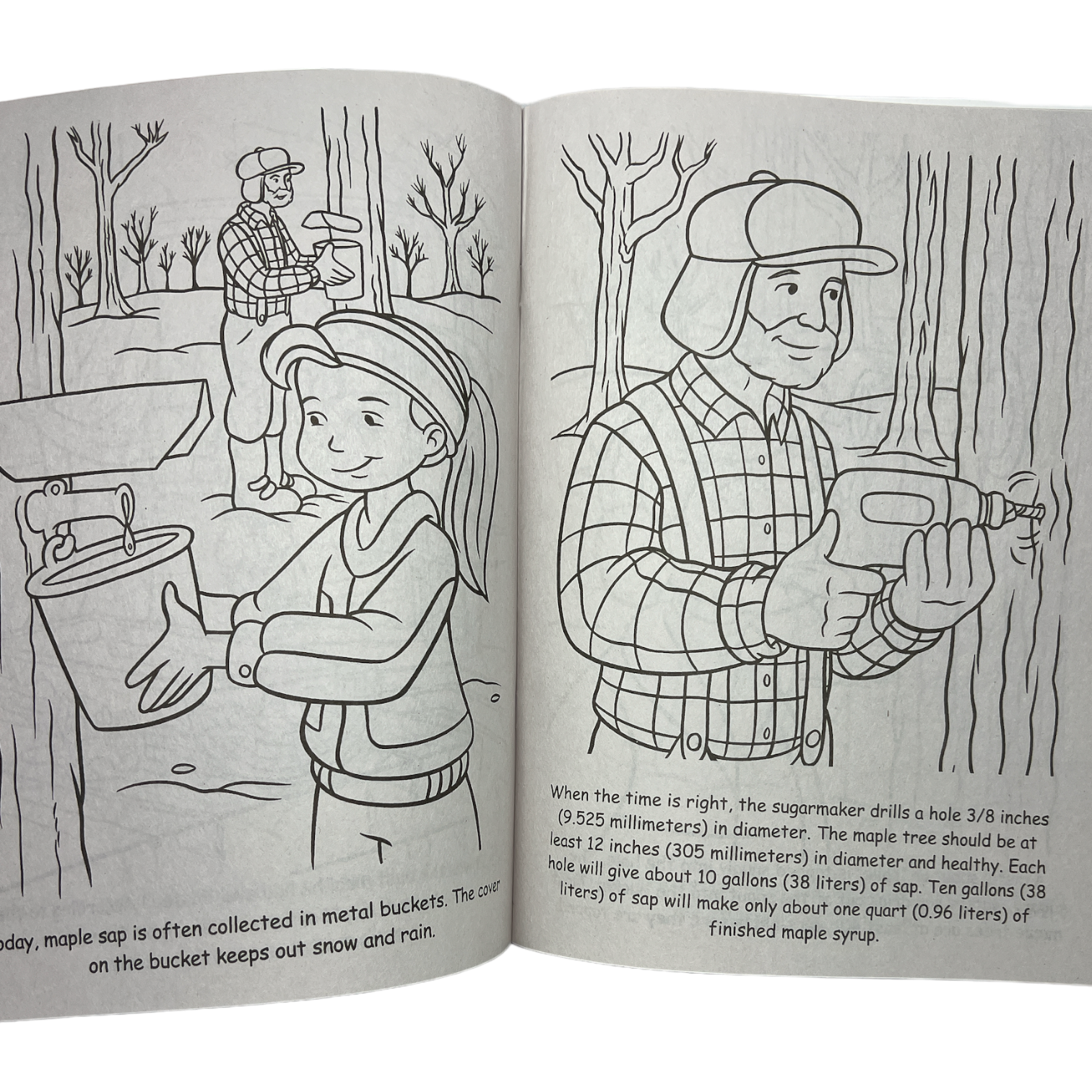 Welcome To Our Sugarhouse Story / Coloring Book