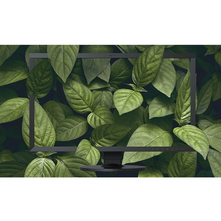 Wide Gamut IPS Monitor 27 Inch - 4K Hardware Calibration | EIZO CS2740-4K-CNX