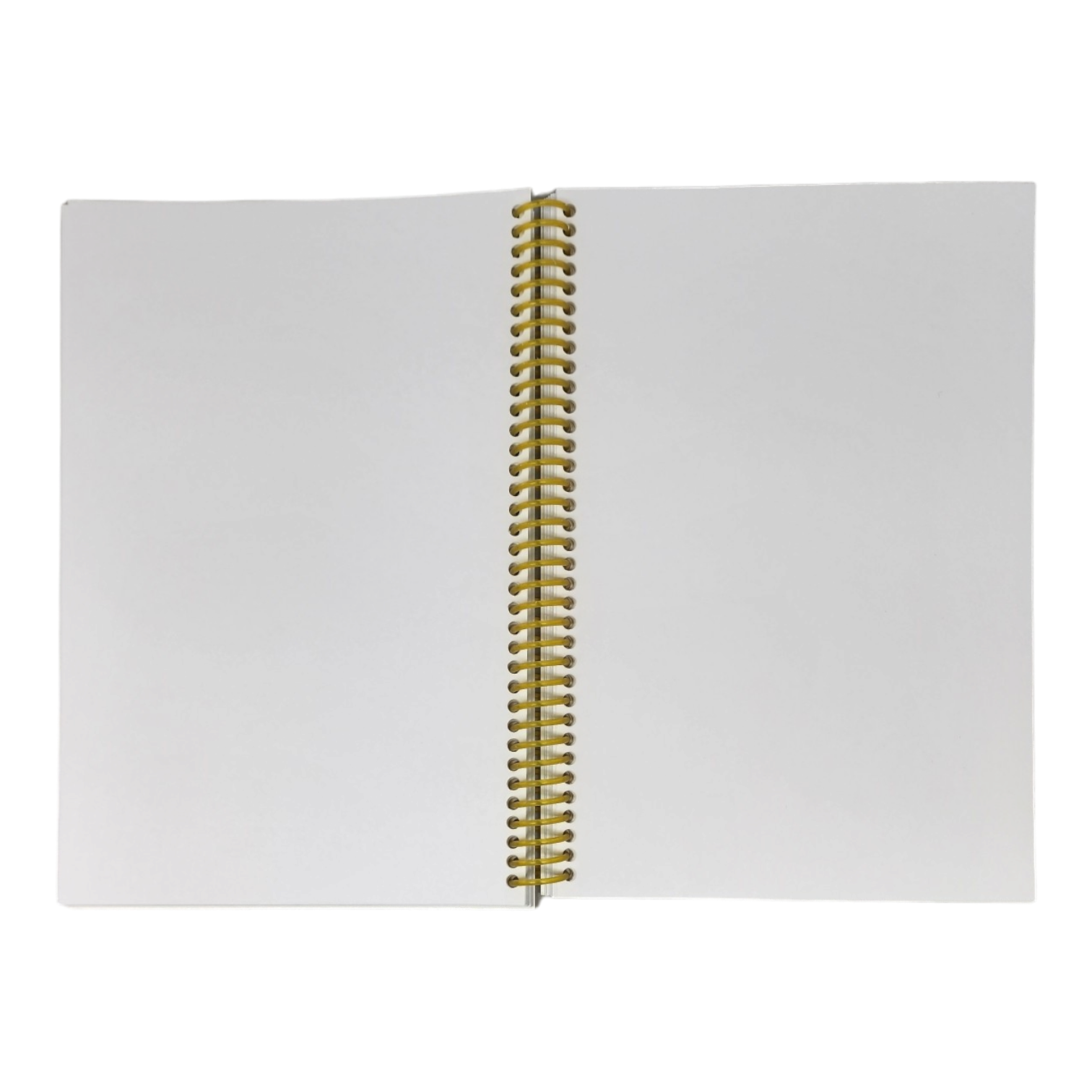 Wirebound 6X9 Unlined Journal - Butterflies and Dragonflies