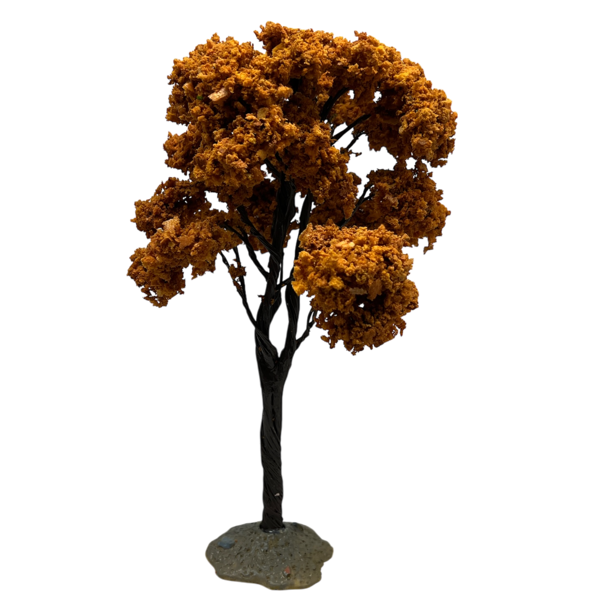 Yellowwood Tree, Large