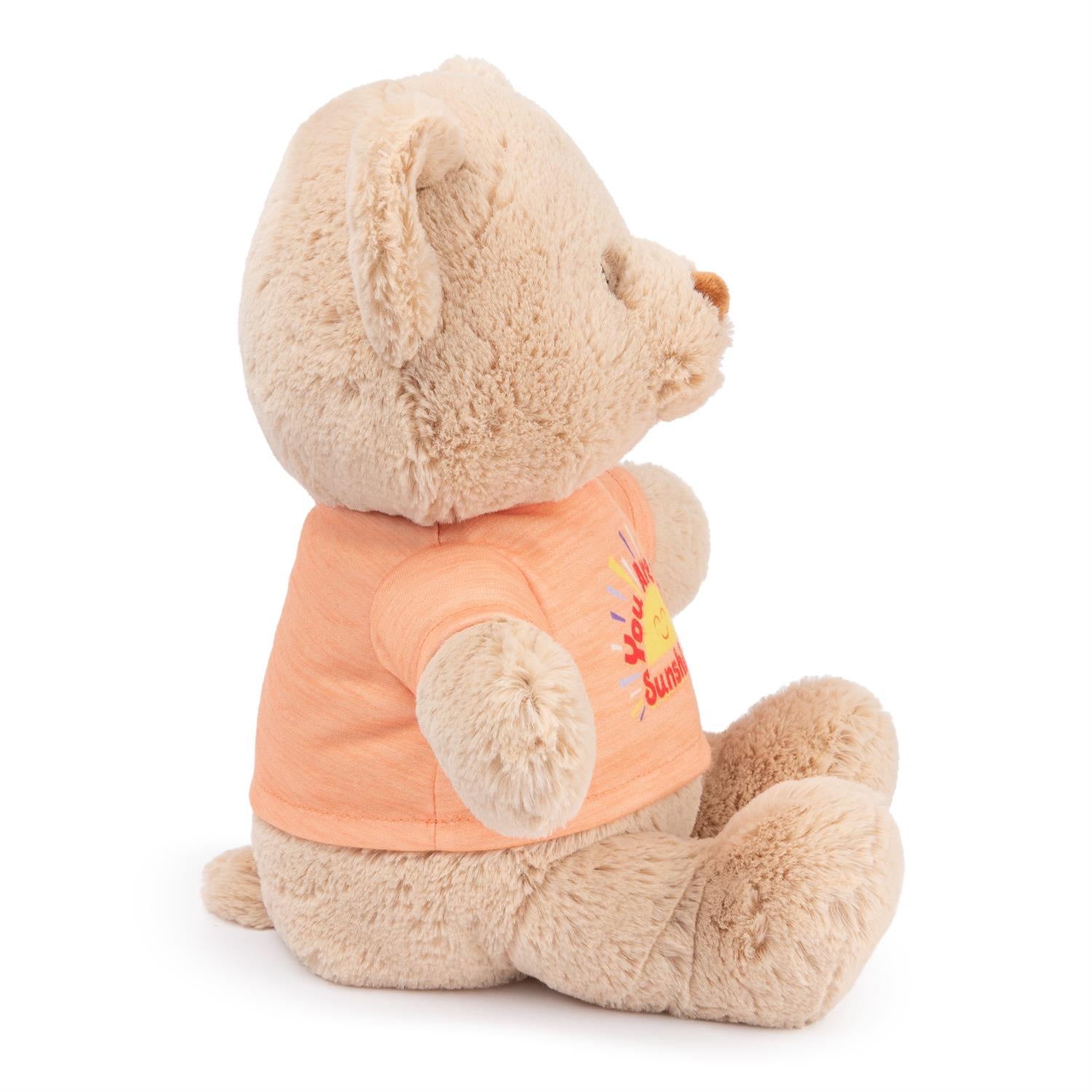 You Are my Sunshine Message Bear