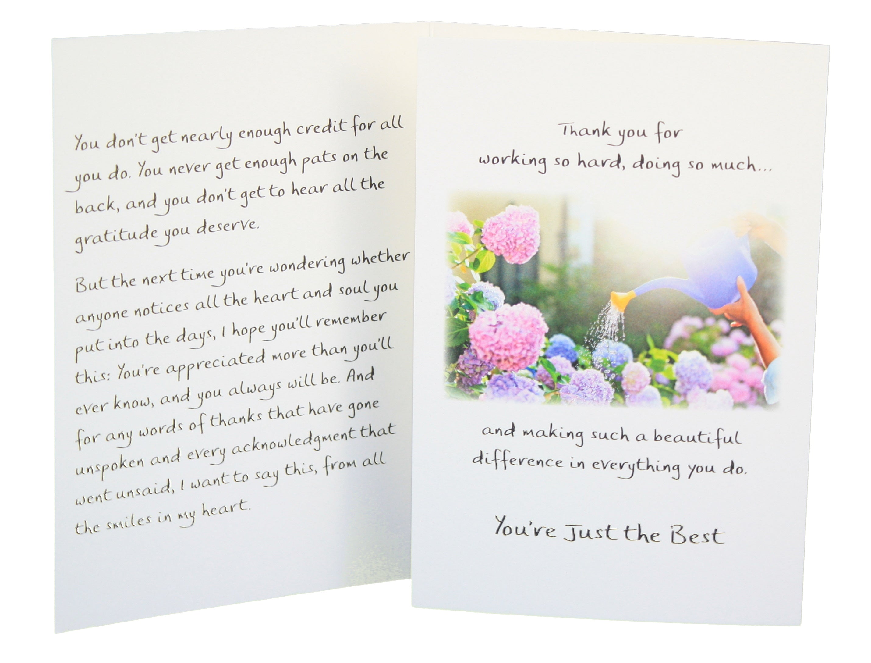 You Work So Hard And Do So Much - Greeting Card