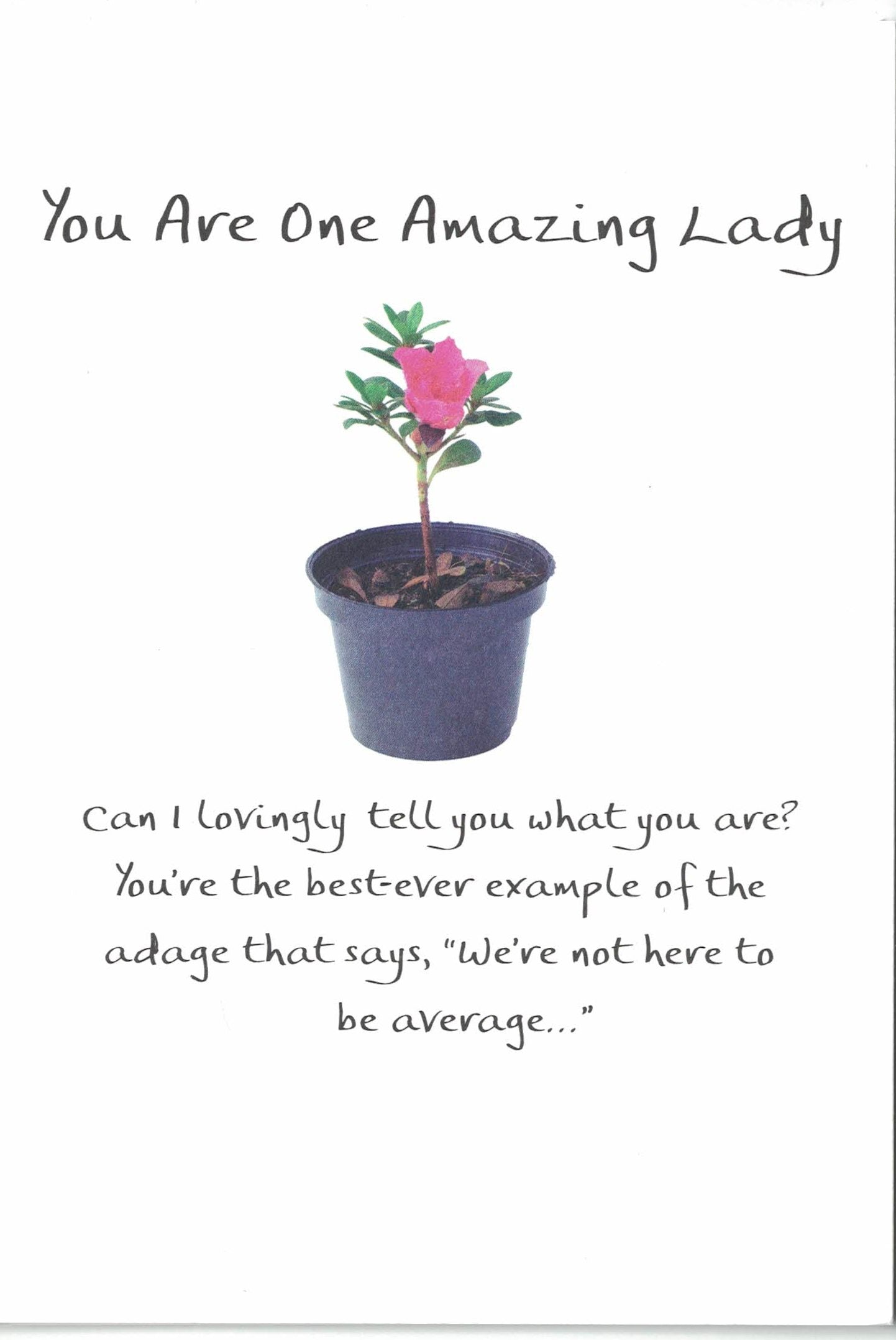 You are One Amazing Lady Greeting Card