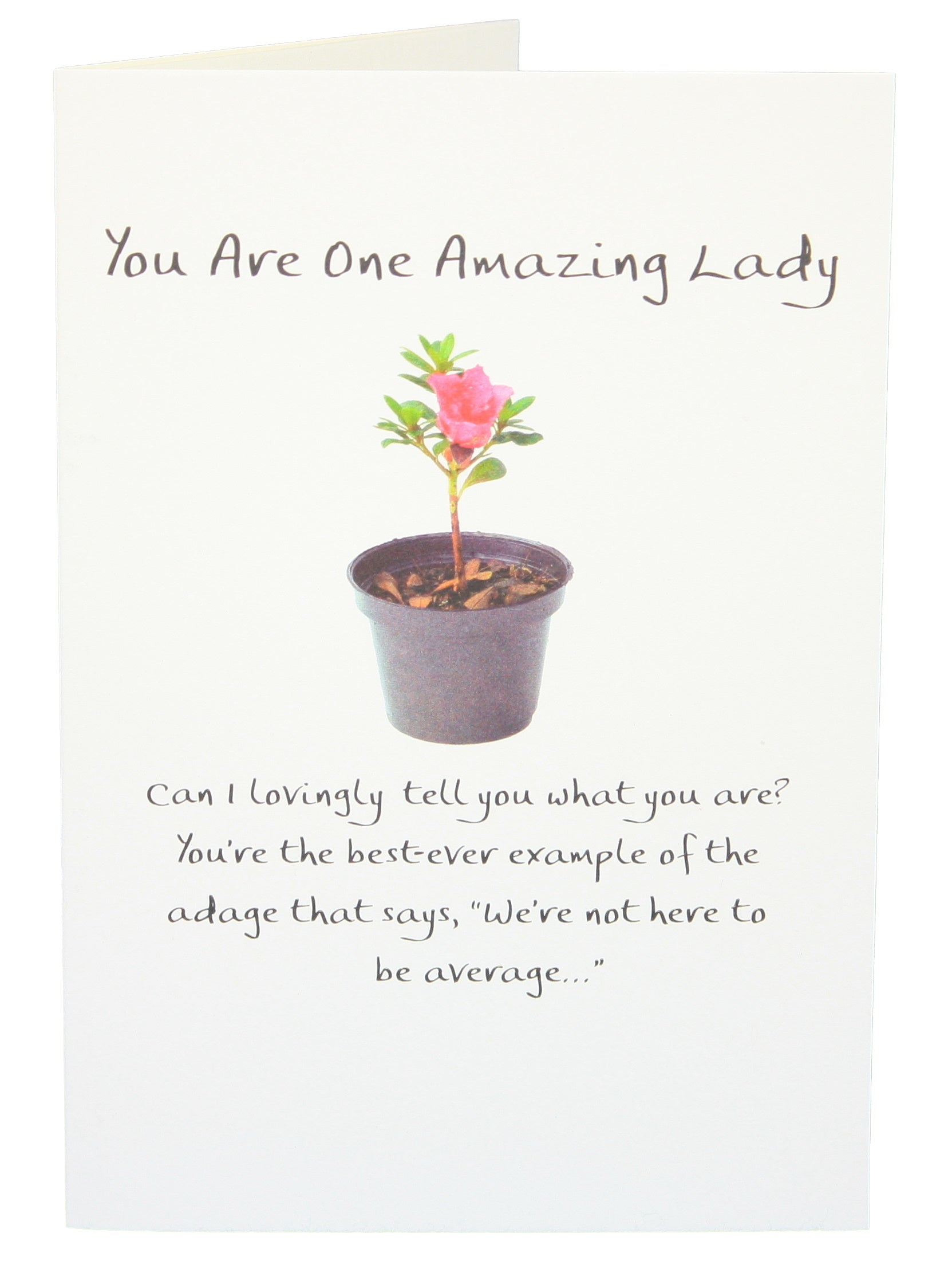 You are One Amazing Lady Greeting Card