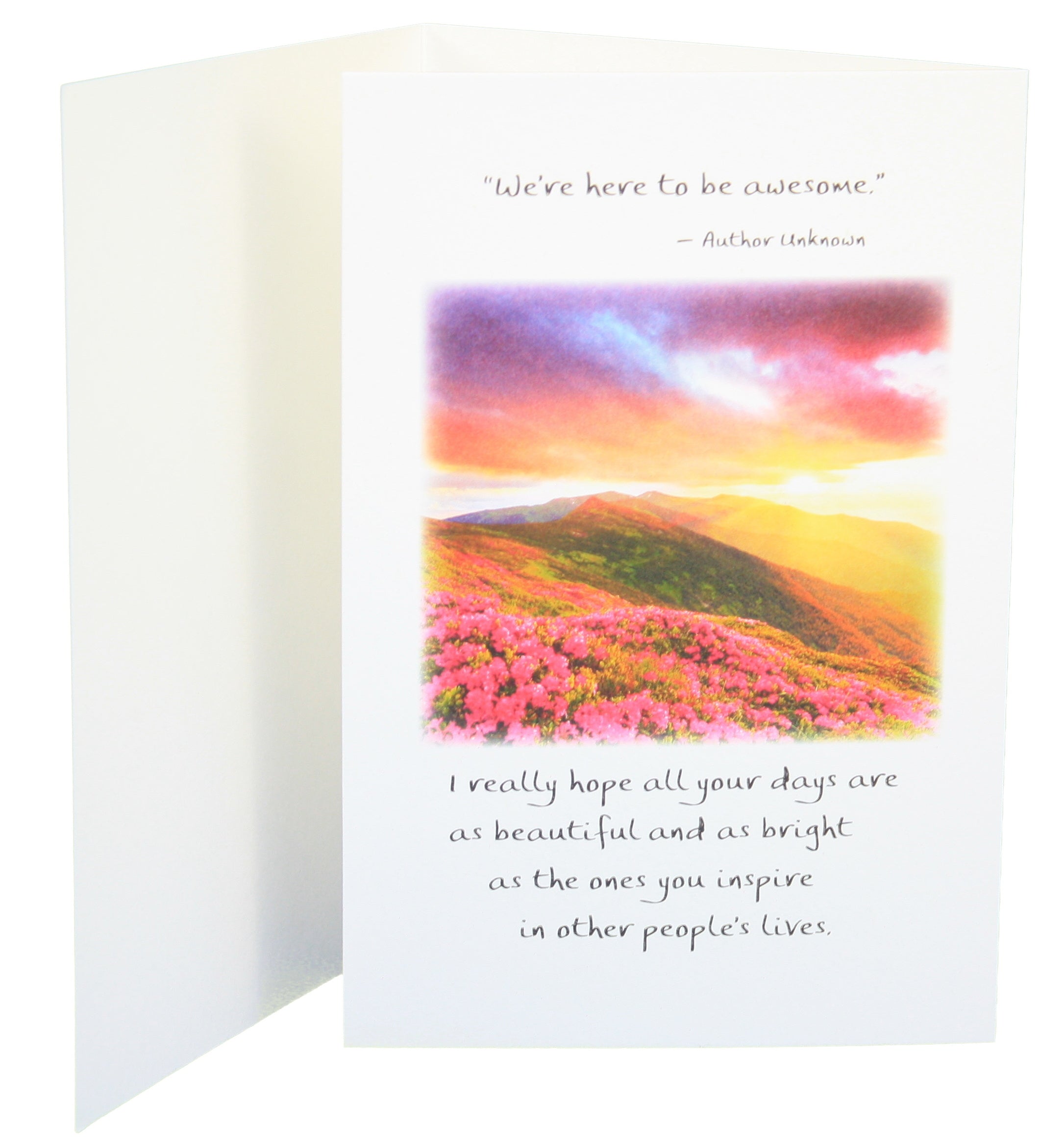 You are One Amazing Lady Greeting Card