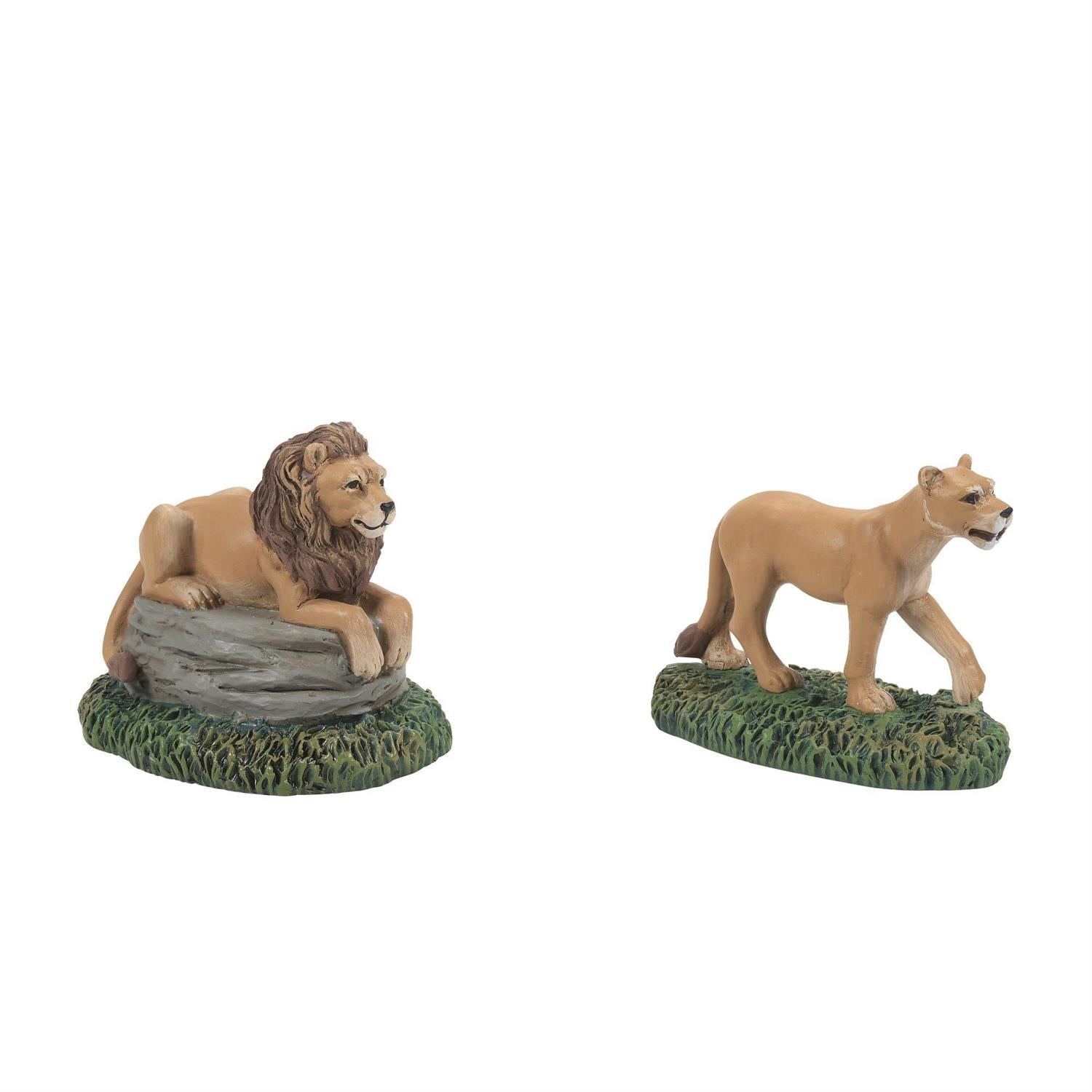 Zoological Garden Lion - Set of 2