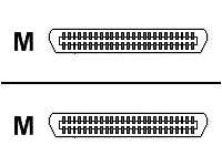 eNet Components - Network cable - 50 pin Telco (M) angled to 50 pin Telco (M) straight - 6 ft - CAT 3 - gray