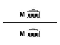 eNet Components - Patch cable - RJ-45 (M) to RJ-45 (M) - 25 ft - STP - CAT 6a - booted, snagless - gray C6A-SHGY-CB-25-ENC