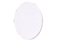 rf IDEAS MIFARE Coin Tag - Security smart card BDG-CTWMIFARE1K