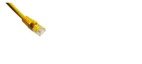 Axiom Axg95836 Networking Cable Orange 7.6 M Cat6A U/Utp (Utp)
