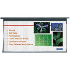 Da-Lite 99293L Cosmopolitan Electrol 108x192 Motorized Projector Screen - Large Venue HDTV Format Screen
