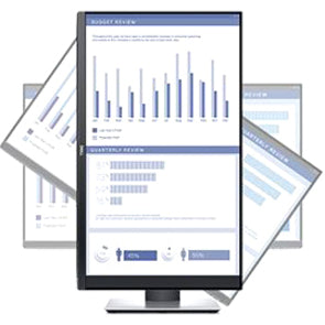 Dell P2419H 24 Class Full HD LCD Monitor - 16:9" DELL-P2419H
