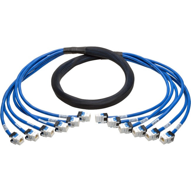 Eaton Tripp Lite Series Cat6a 10G Pre-Terminated Copper Trunk Assembly (6x RJ45 F/F), Blue, 10 ft. (3.05 m) N261-010-6FF-BL