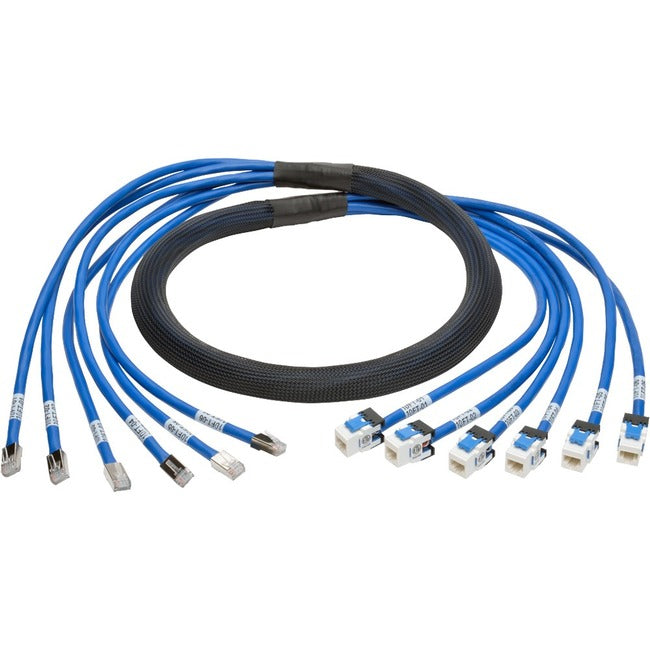 Eaton Tripp Lite Series Cat6a 10G Pre-Terminated Copper Trunk Assembly (6x RJ45 M/F), Blue, 10 ft. (3.05 m) N261-010-6MF-BL