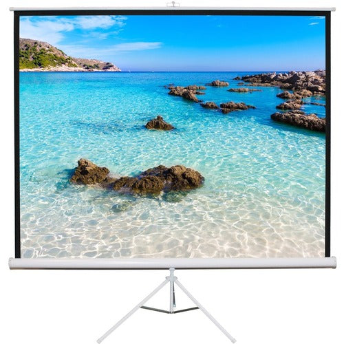 HamiltonBuhl 60'' x 60'' TPS-T60 - Matte White Fabric - Square Format Projector Screen