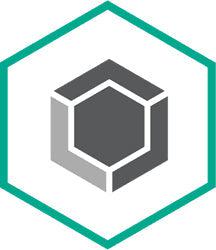 Kaspersky Lab Encryption For Endpoint 1 License(S) Add-On English 3 Year(S)