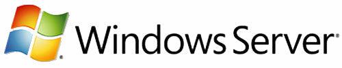 Microsoft Windows Server Cal, Olv-Gov, Lic/Sa, 1U Cal, 1Y Aq Y1 1 License(S) Government (Gov)