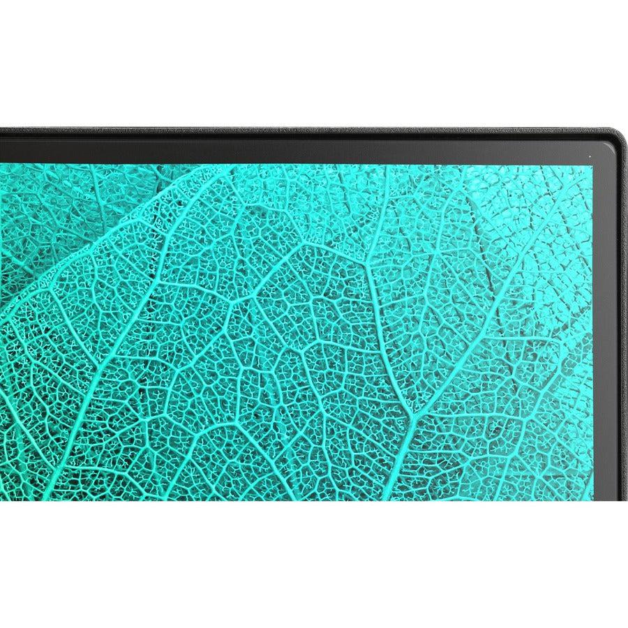 NEC Display AccuSync AS241F-BK 24 Class Full HD LCD Monitor - 16:9"