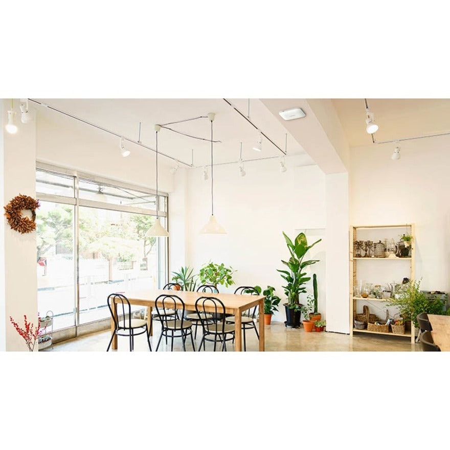 Netgear WAX218 Dual Band 802.11ax 3.52 Gbit/s Wireless Access Point - Indoor WAX218-100NAS