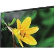 ORION Images 43HSDI3G 43 Class Full HD LCD Monitor - 16:9 - Black - TAA Compliant"