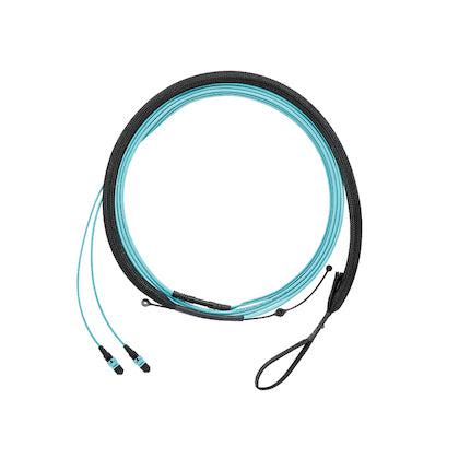 Panduit F9Trp5Nqssnf030 Fibre Optic Cable Mpo Lc Os2 Black, Green