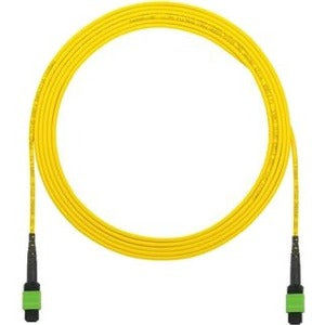 Panduit Fiber Optic Network Cable F9TRP5N5NANF010