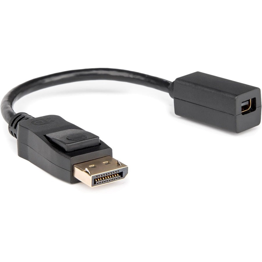 Rocstor Premium DisplayPort to Mini DisplayPort Adapter Y10C270-B1