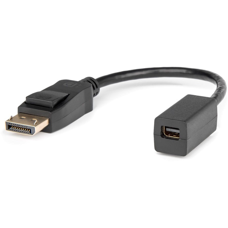 Rocstor Premium DisplayPort to Mini DisplayPort Adapter Y10C270-B1