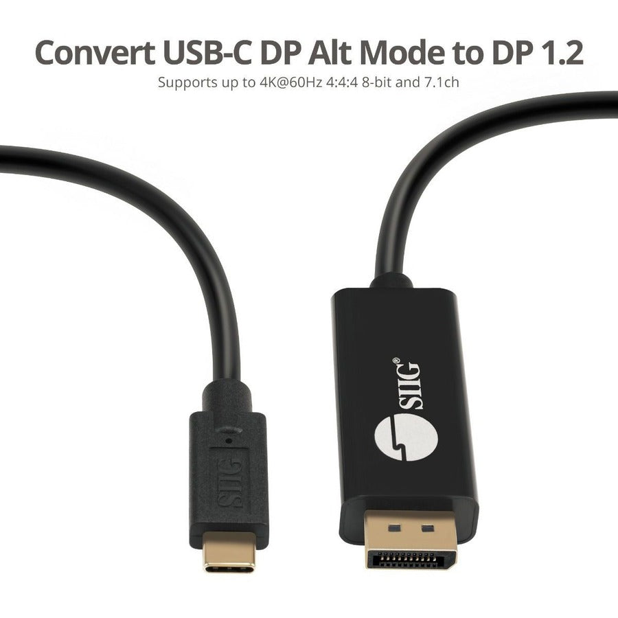 SIIG USB-C to DisplayPort Active Cable 4K 60Hz HDR - 2M CB-TC0K11-S1