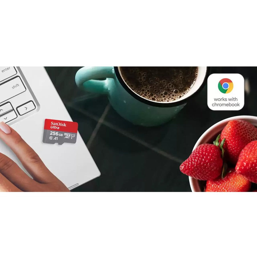 SanDisk Ultra 256 GB UHS-I microSDXC SDSQUA4-256G-GN6FA