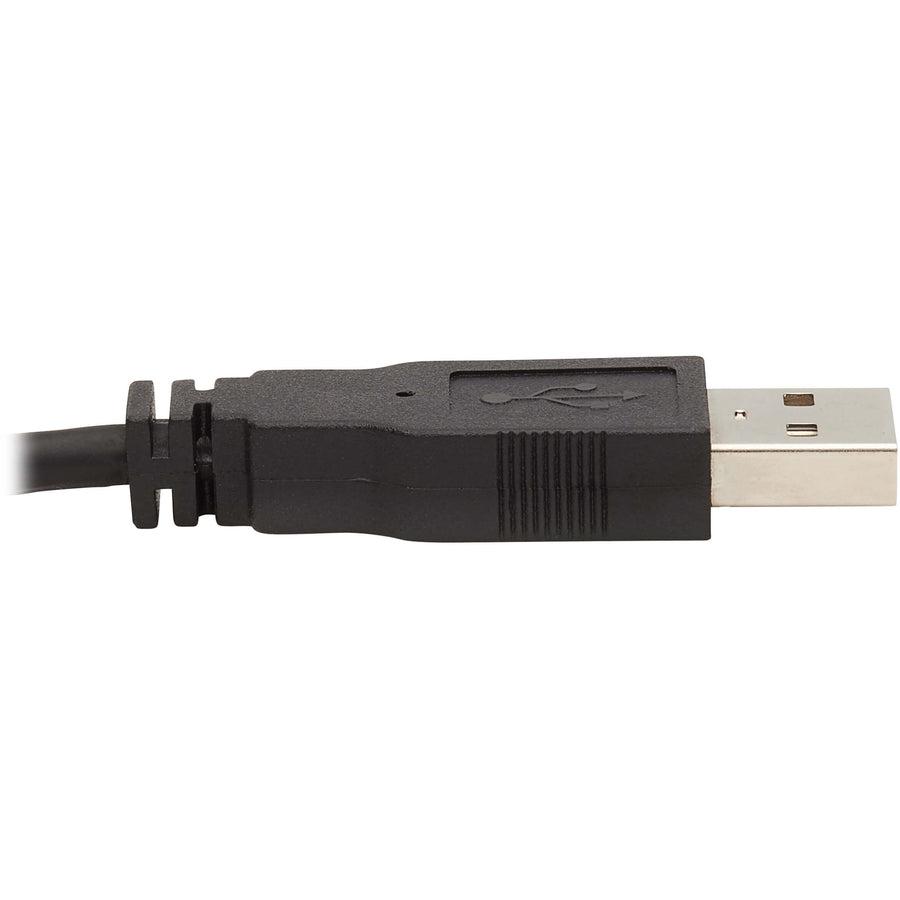 Tripp Lite Dvi Kvm Cable Kit, 3 In 1 - Dvi, Usb, 3.5 Mm Audio (3Xm/3Xm), 6 Ft. (1.83 M)